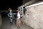 CAHalPty2010_WEB_LE600px_0532