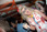 CAHalPty2010_WEB_LE600px_0573
